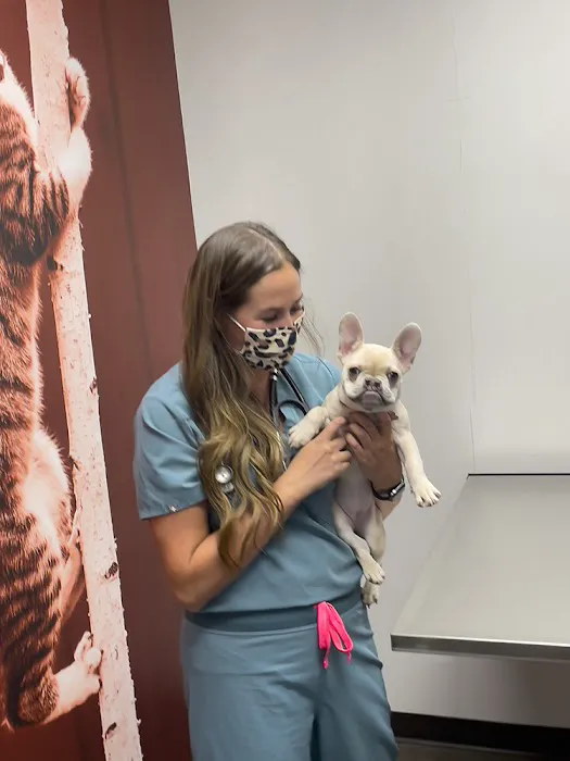 CityVet | Preston Forest Veterinary Clinic & Urgent Care Picture 1