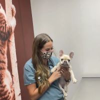 CityVet | Preston Forest Veterinary Clinic & Urgent Care ico