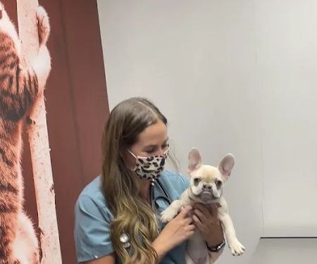 CityVet | Preston Forest Veterinary Clinic & Urgent Care