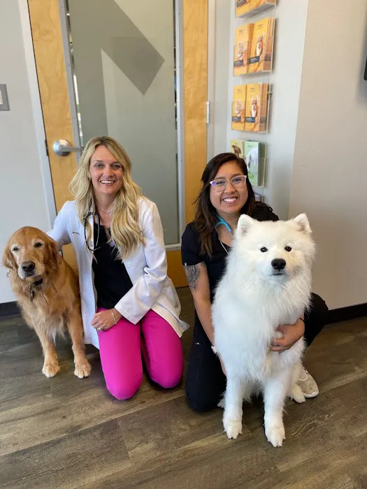 CityVet | Preston Forest Veterinary Clinic & Urgent Care Picture 9
