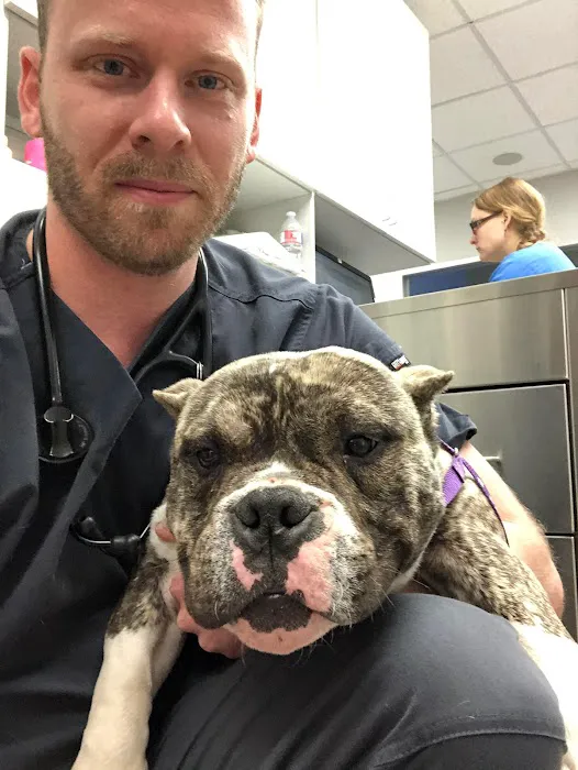 CityVet | Preston Forest Veterinary Clinic & Urgent Care Picture 7