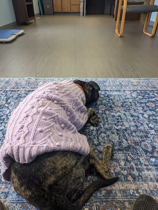 Great Lakes Veterinary Behavior Consultants Picture 4