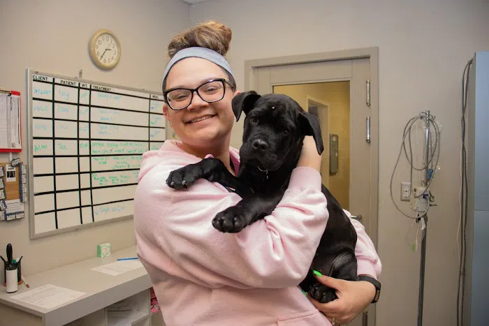 Westland Veterinary Hospital Picture 4
