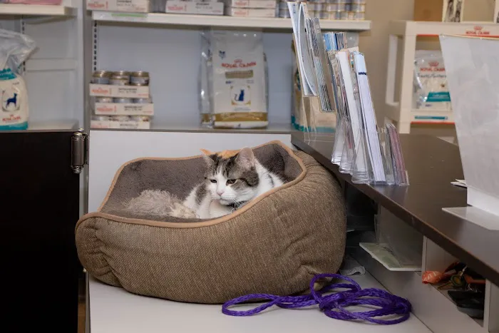 Westland Veterinary Hospital Picture 6