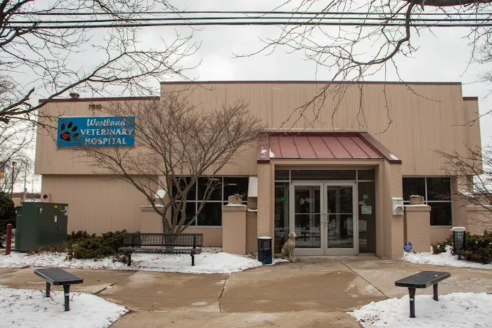 Westland Veterinary Hospital Picture 9