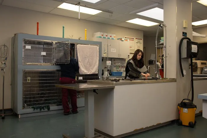 Westland Veterinary Hospital Picture 7