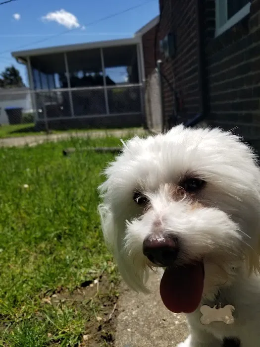 Westland Veterinary Hospital Picture 8
