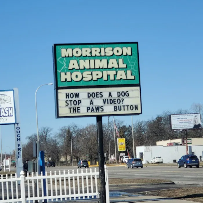Morrison Animal Hospital: Smyth-Arkens Michele DVM Picture 4