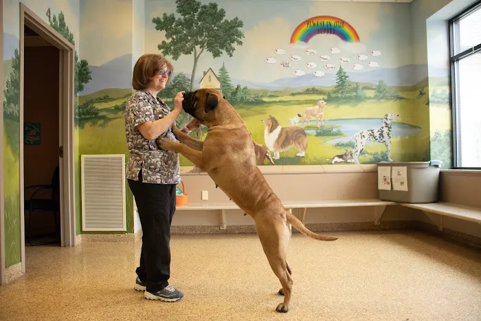 Morrison Animal Hospital Picture 2