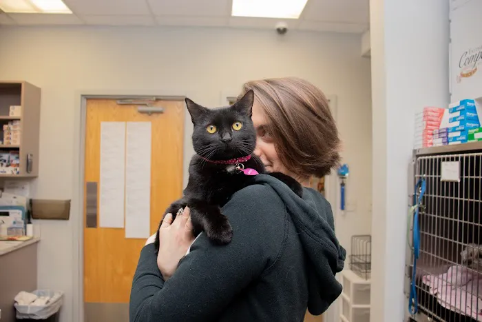 Morrison Animal Hospital Picture 9