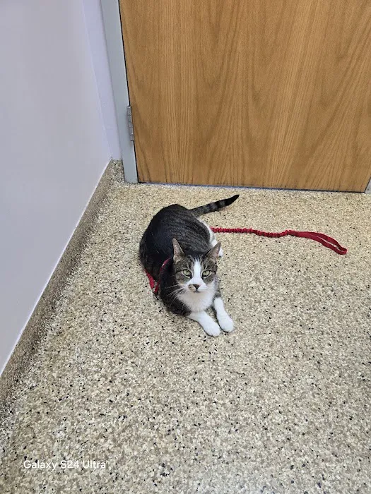 Morrison Animal Hospital Picture 8