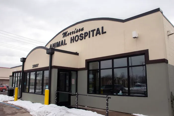 Morrison Animal Hospital Picture 7