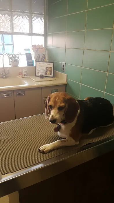 Rossoni Animal Hospital Picture 8