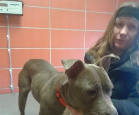 Rossoni Animal Hospital