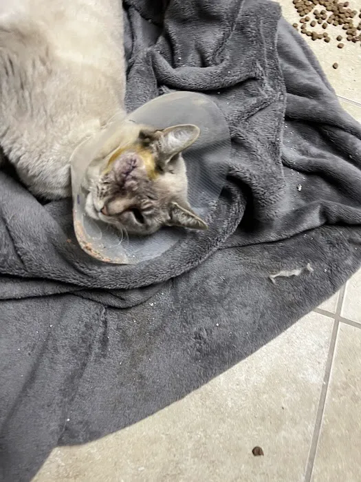 Michigan Veterinary Total Health Care Picture 8