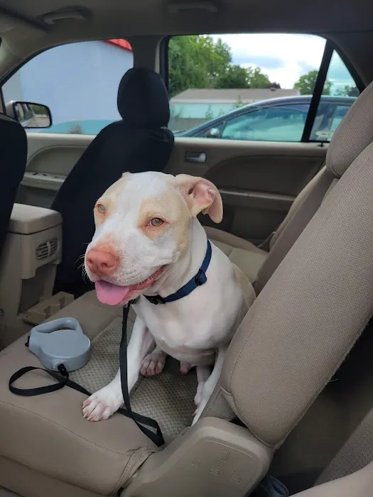 A W Animal Hospital Picture 7