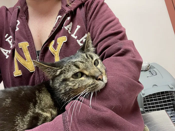 A W Animal Hospital Picture 2