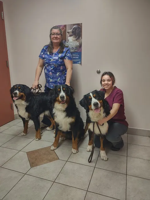 A W Animal Hospital Picture 10
