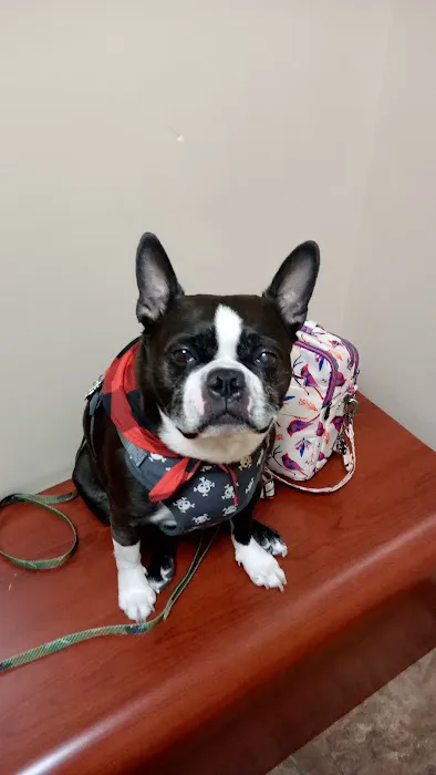 Healing Care Animal Hospital Picture 1