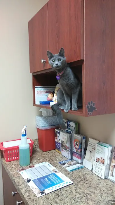 Healing Care Animal Hospital Picture 8