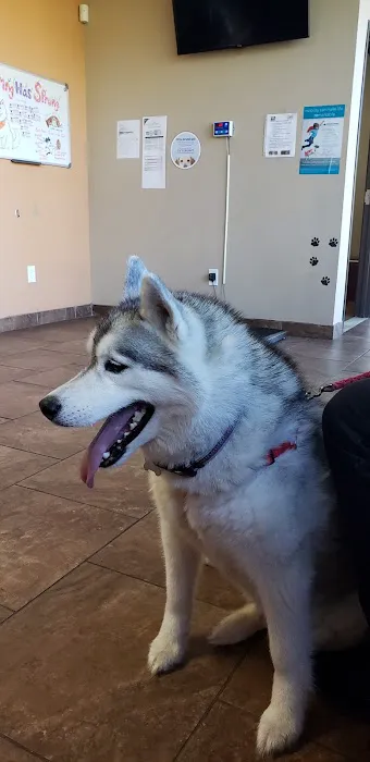 Healing Care Animal Hospital Picture 5