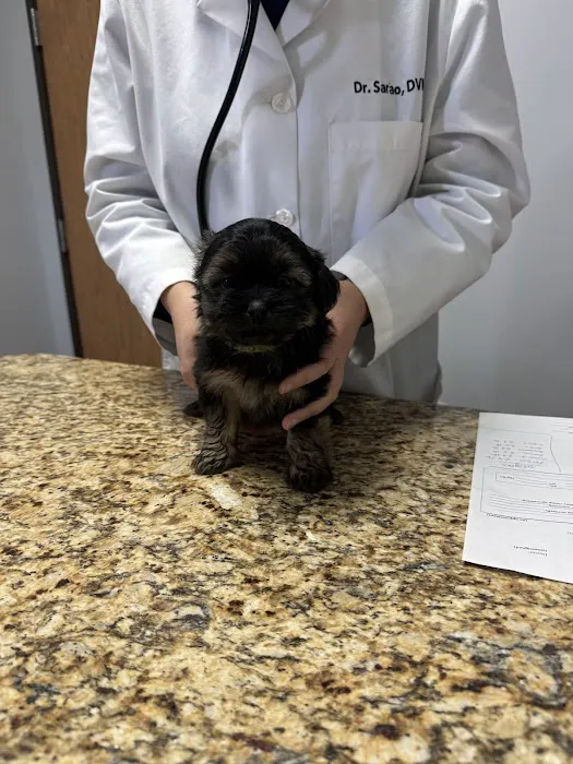 Healing Care Animal Hospital Picture 9