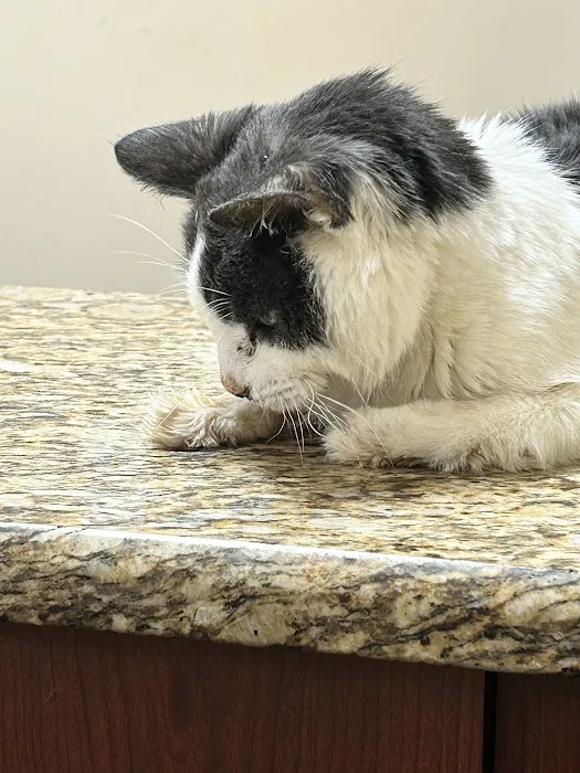 Healing Care Animal Hospital Picture 10