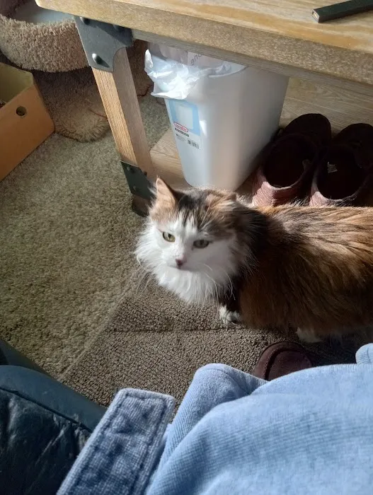 Healing Care Animal Hospital Picture 7
