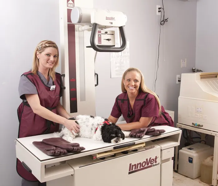 Great Lakes Animal Hospital Picture 1