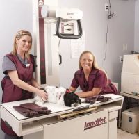 Great Lakes Animal Hospital ico