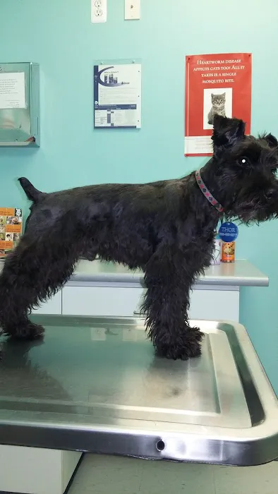 Great Lakes Animal Hospital Picture 6