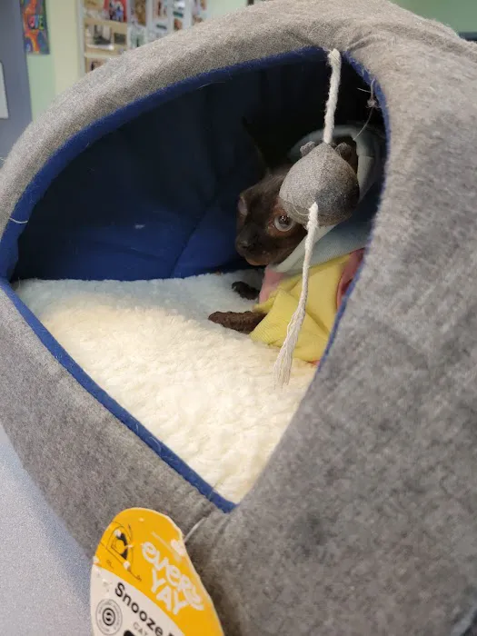 Great Lakes Animal Hospital Picture 5