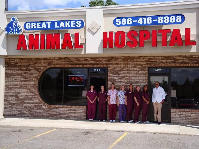 Great Lakes Animal Hospital Picture 3