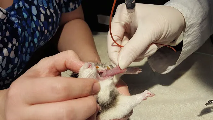 Ark Veterinary Hospital Picture 10