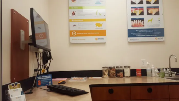 Banfield Pet Hospital Picture 7