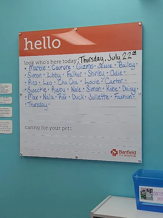 Banfield Pet Hospital Picture 5
