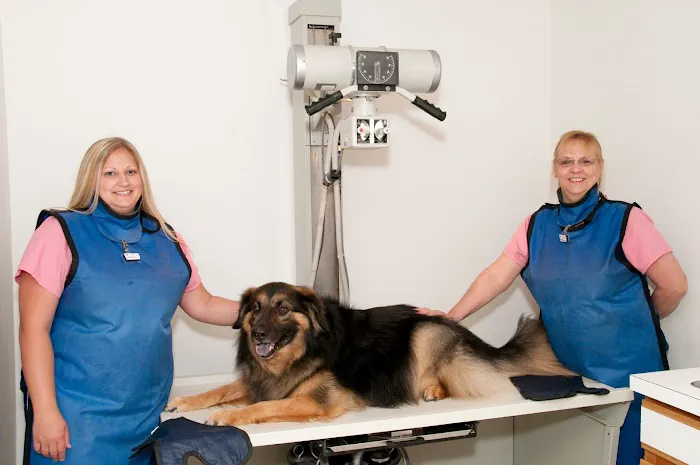 Taylor Veterinary Clinic Picture 5