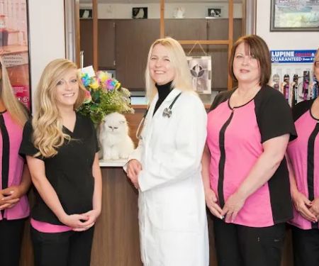 Taylor Veterinary Clinic