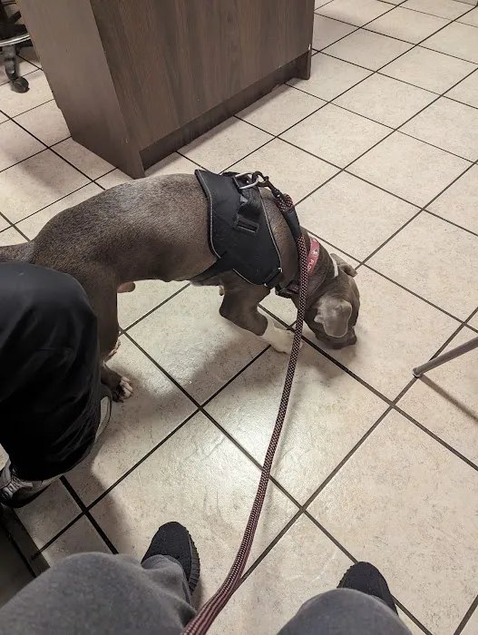 Ace Animal Clinic Picture 4