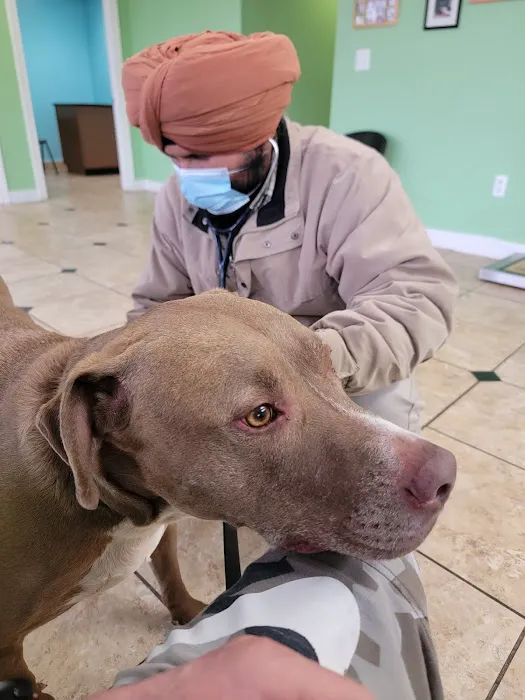 Wayne Mercy Animal Hospital Picture 2
