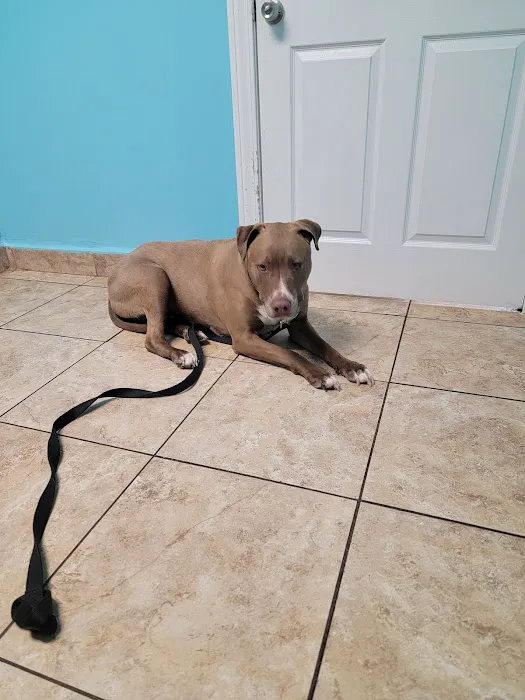 Wayne Mercy Animal Hospital Picture 6