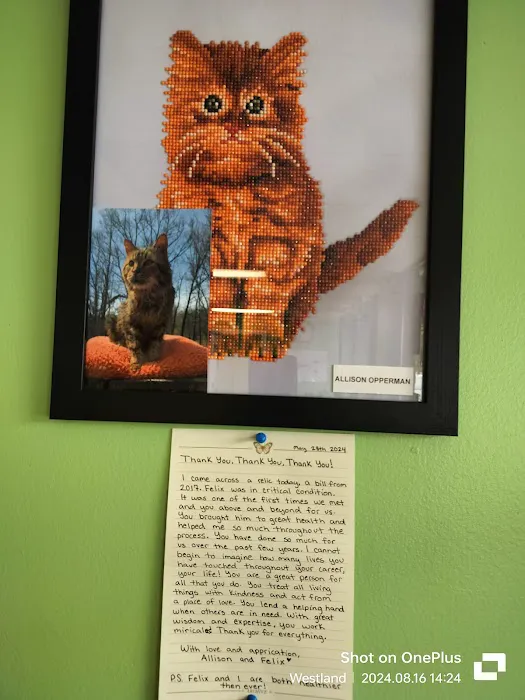 Wayne Mercy Animal Hospital Picture 10
