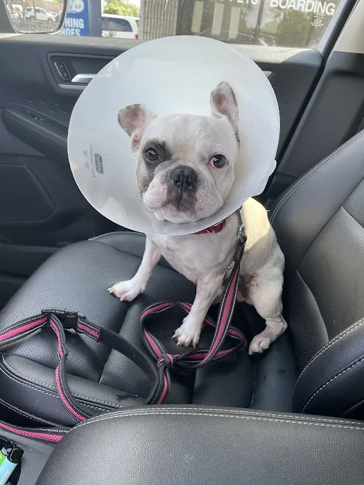 Wayne Mercy Animal Hospital Picture 7