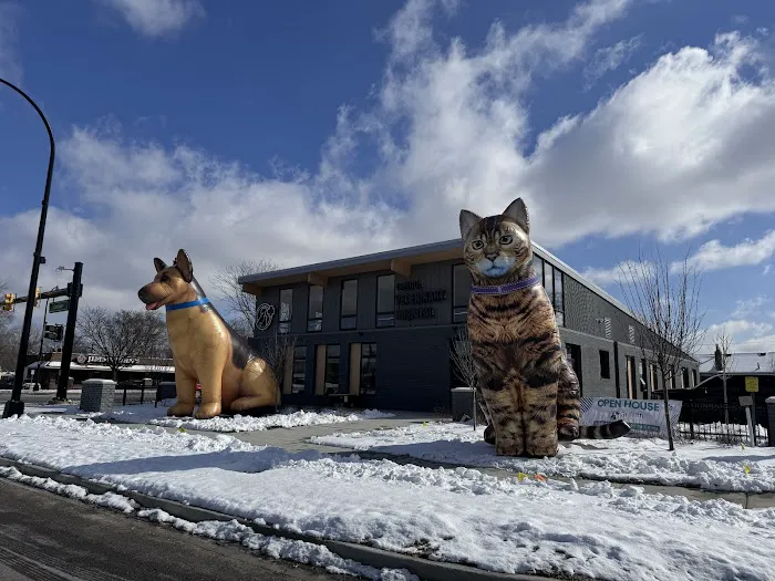 Griffith Veterinary Hospital Picture 1