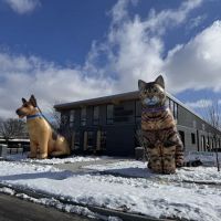 Griffith Veterinary Hospital ico