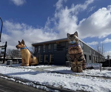 Griffith Veterinary Hospital