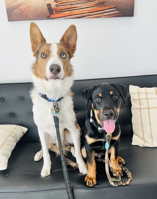 Griffith Veterinary Hospital Picture 9