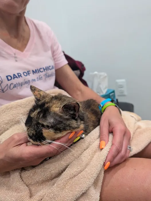 Griffith Veterinary Hospital Picture 7