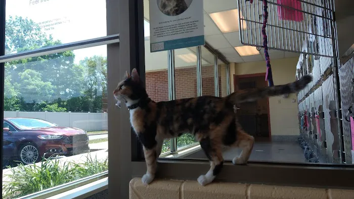 Berman Center for Animal Care Picture 2