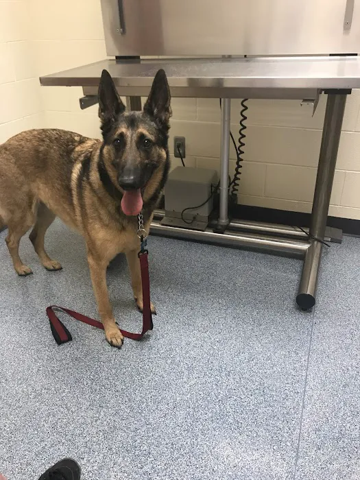 Michigan Humane Veterinary Center Picture 7